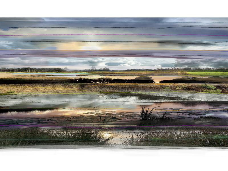 ‘Collected’ landscape No.017