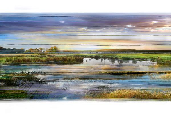Constructed realities | ‘Collected’ landscape No.25