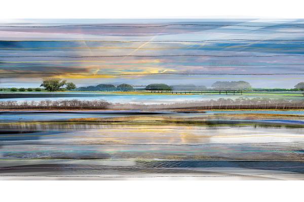 Constructed realities | ‘Collected’ landscape No.30