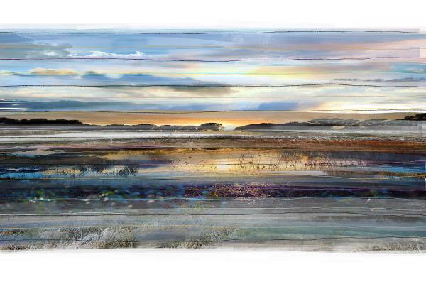 Constructed realities | ‘Collected’ landscape No.31