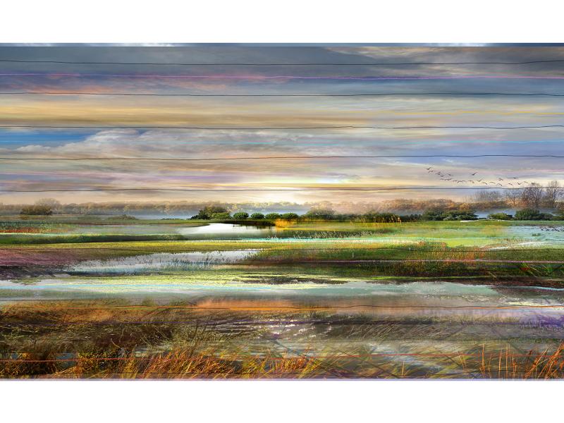 ‘Collected’ landscape No.073
