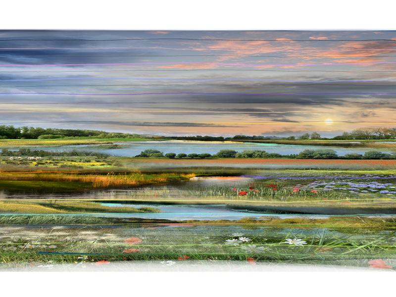 ‘Collected’ landscape No.081