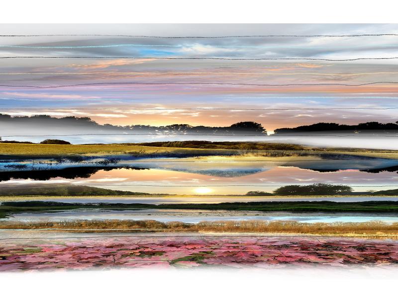 ‘Collected’ landscape No.082