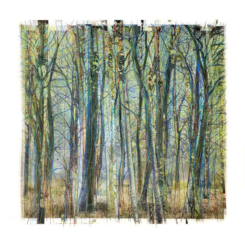 Collected forest No.03.2