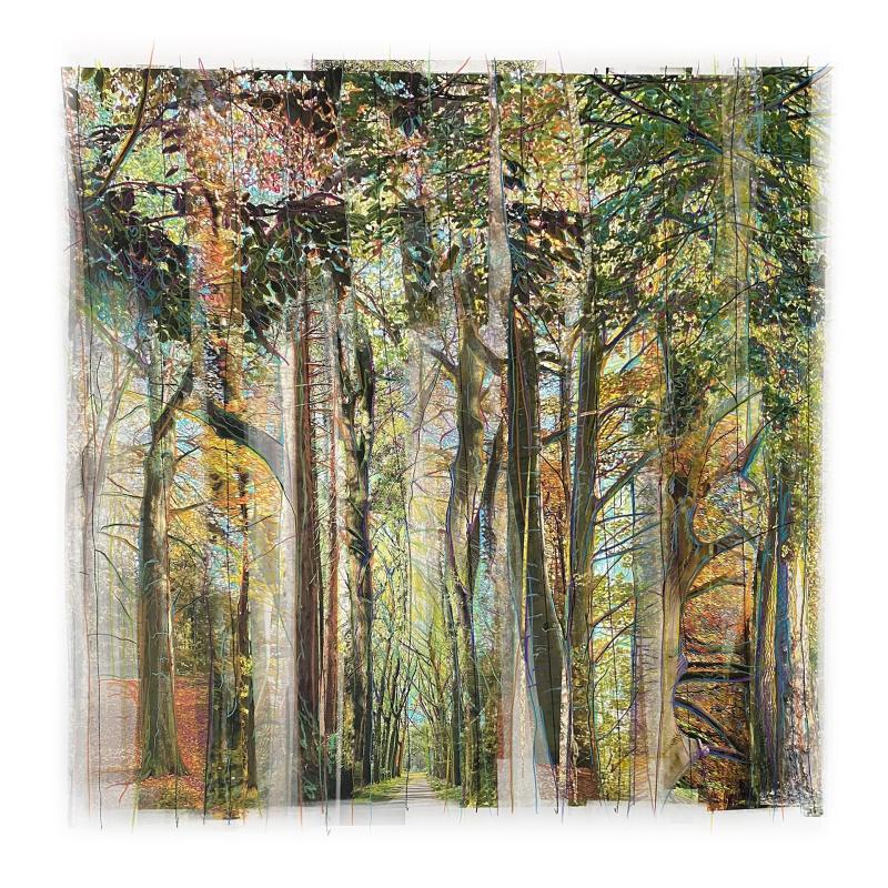 Collected Forest No.06.1