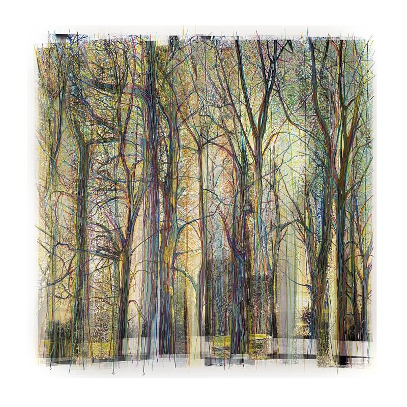 Collected Forest No.09.1