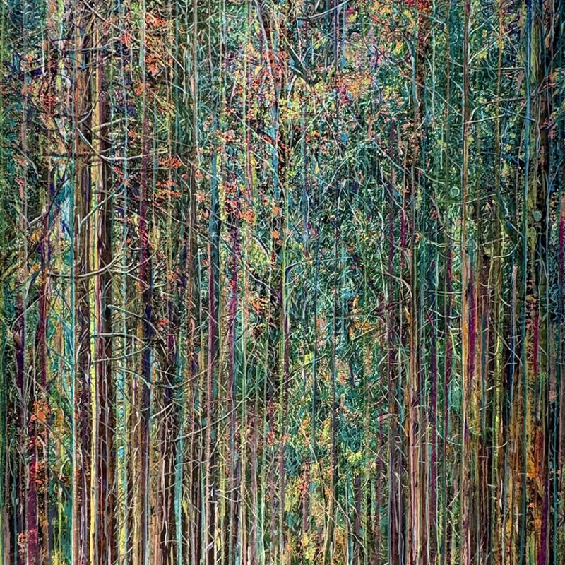 Collected forest No.26.1V