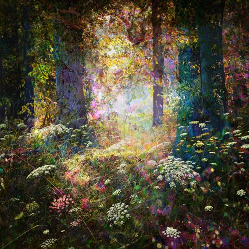 MixedForest No.88 | 95 x 95 cm