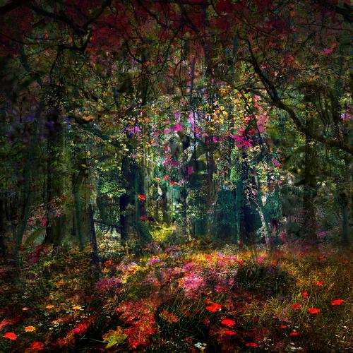 MixedForest No.90 | 95 x 95 cm